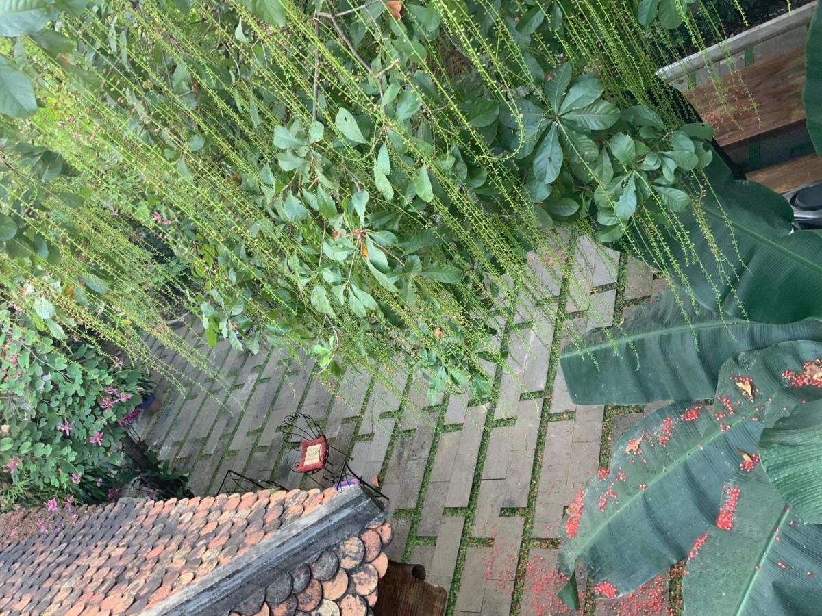 The An Homestay Ho Chi Minh-staden Exteriör bild